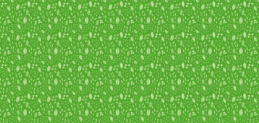 single-services-img-3